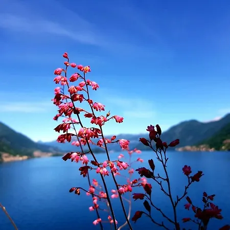 La Rondinella - Loft With Fantastic View On Lake Como דירה ארגגנו